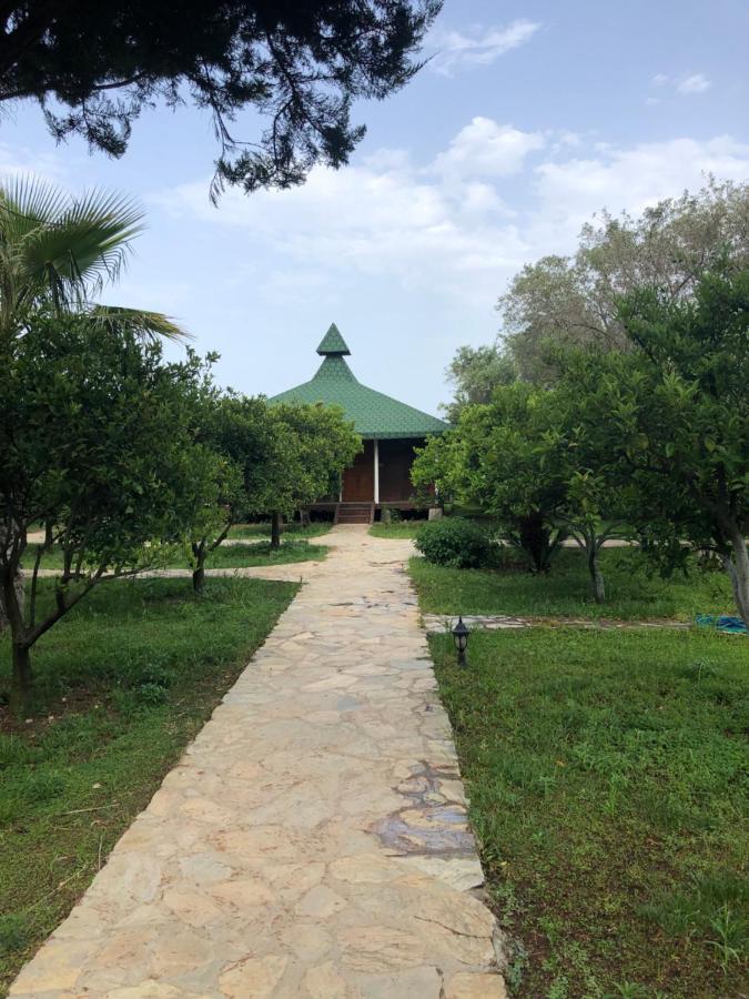 Cirali Armira Bungalow Εξωτερικό φωτογραφία