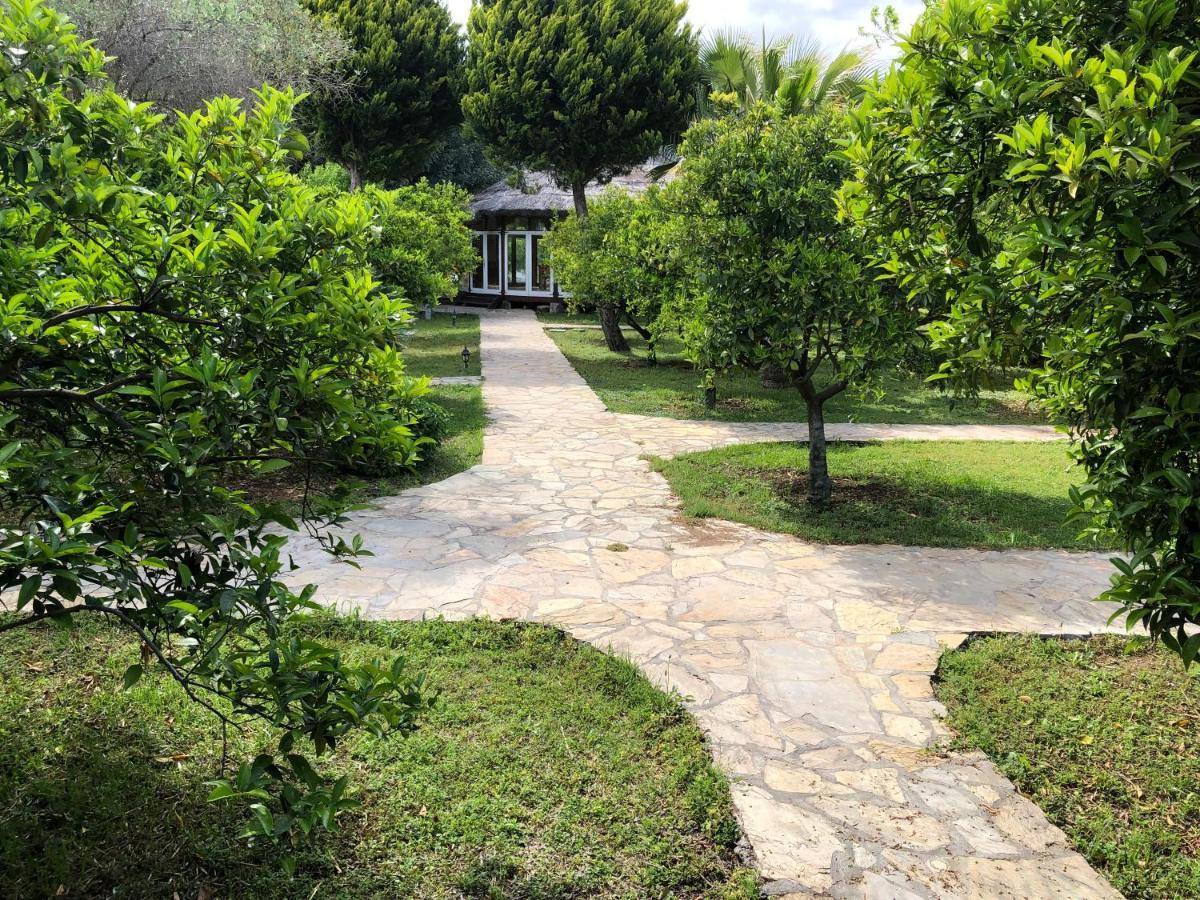 Cirali Armira Bungalow Εξωτερικό φωτογραφία