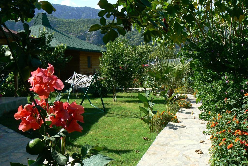Cirali Armira Bungalow Εξωτερικό φωτογραφία