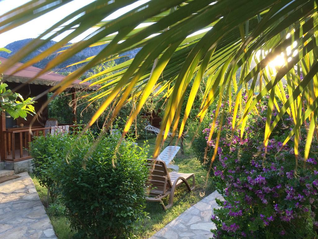 Cirali Armira Bungalow Εξωτερικό φωτογραφία