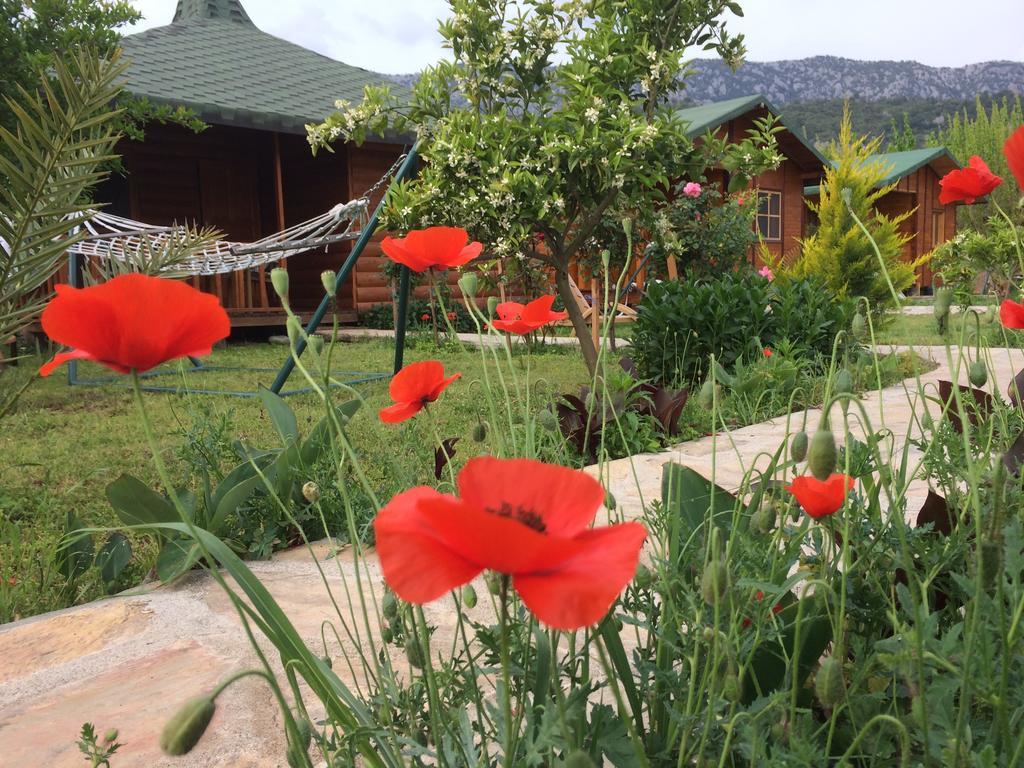 Cirali Armira Bungalow Δωμάτιο φωτογραφία