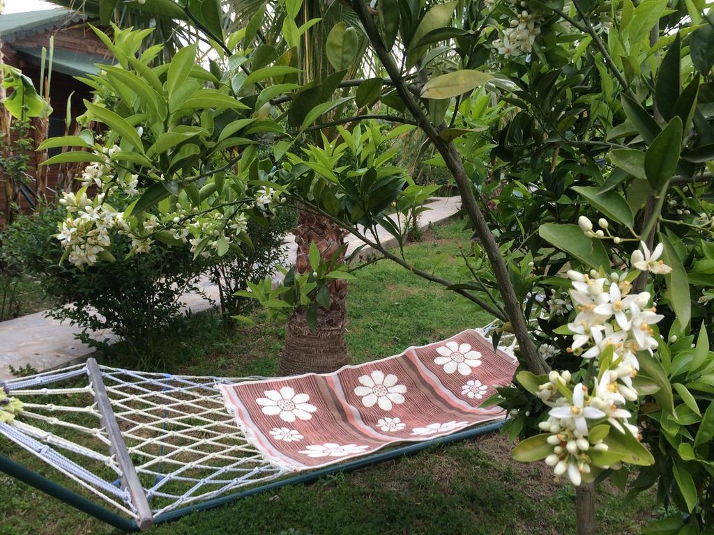 Cirali Armira Bungalow Εξωτερικό φωτογραφία