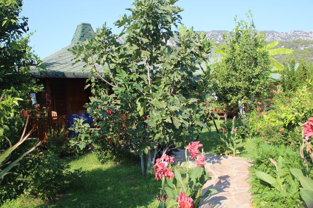 Cirali Armira Bungalow Δωμάτιο φωτογραφία
