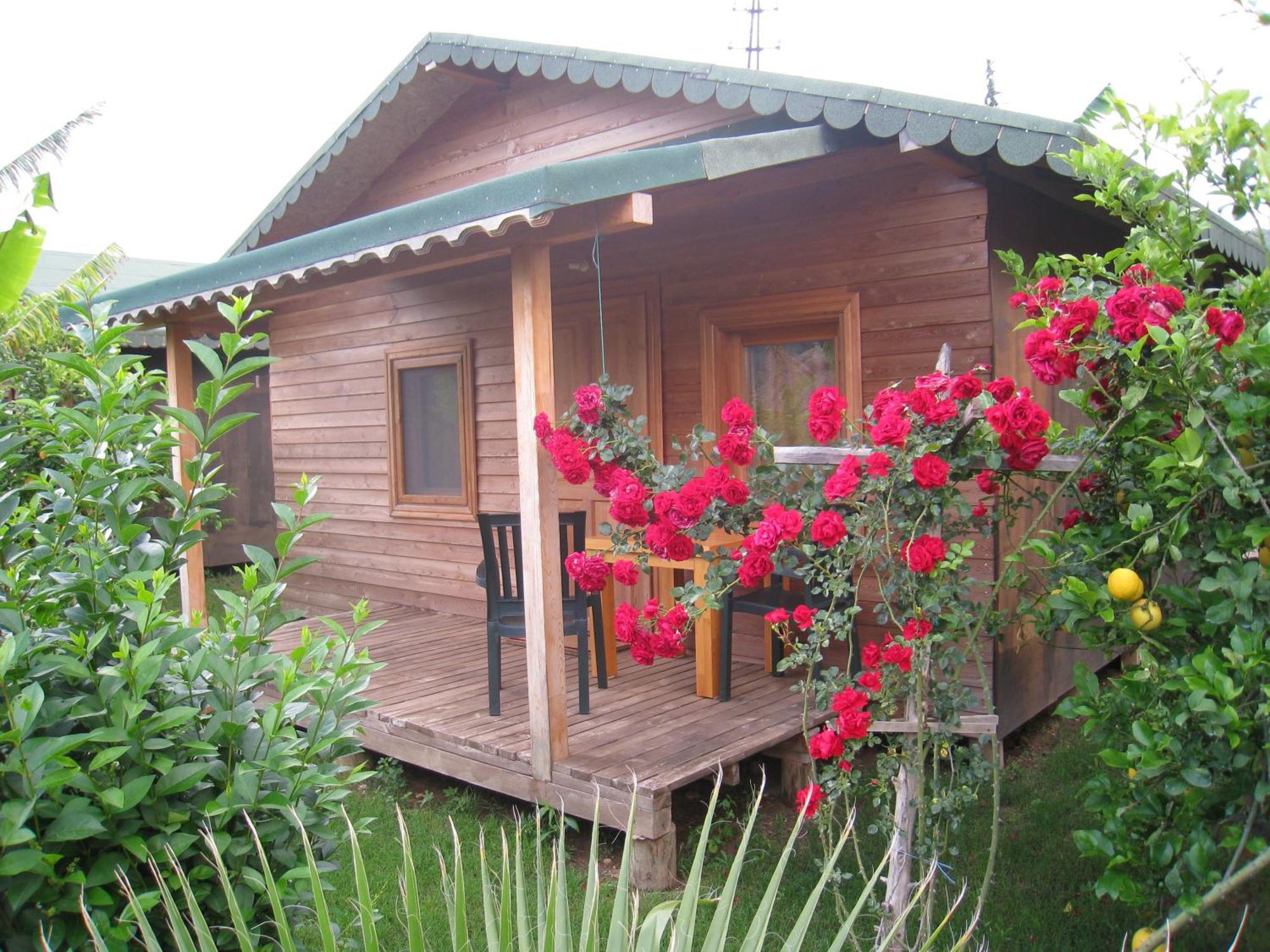 Cirali Armira Bungalow Εξωτερικό φωτογραφία