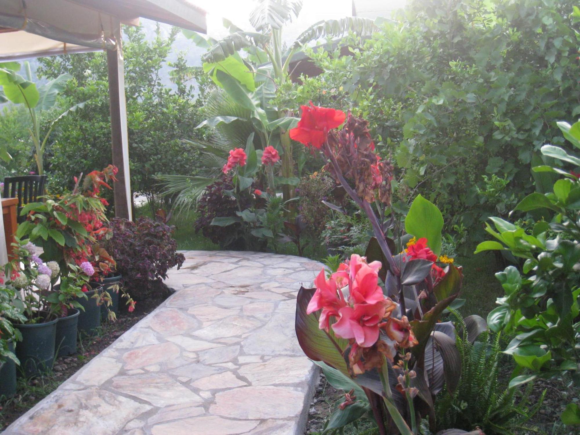 Cirali Armira Bungalow Εξωτερικό φωτογραφία
