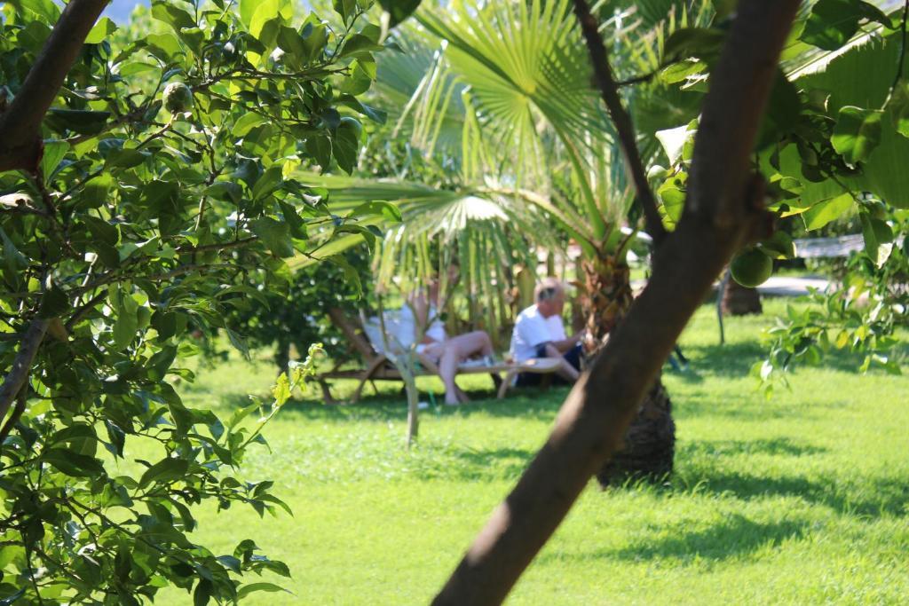 Cirali Armira Bungalow Εξωτερικό φωτογραφία