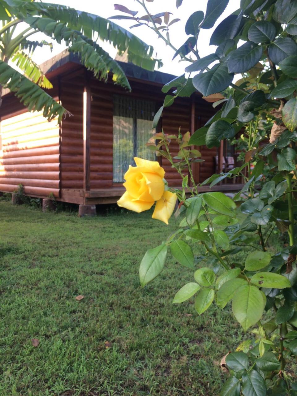 Cirali Armira Bungalow Εξωτερικό φωτογραφία