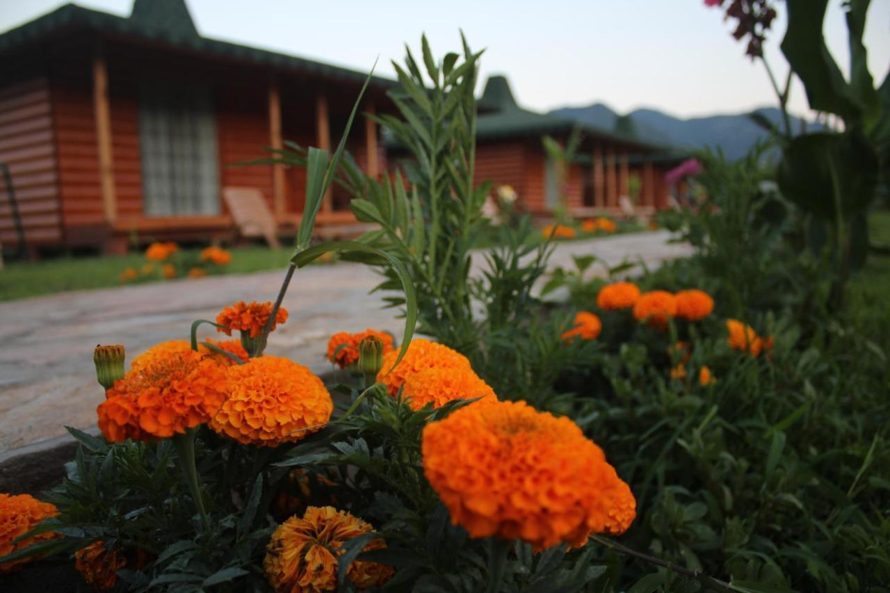 Cirali Armira Bungalow Δωμάτιο φωτογραφία