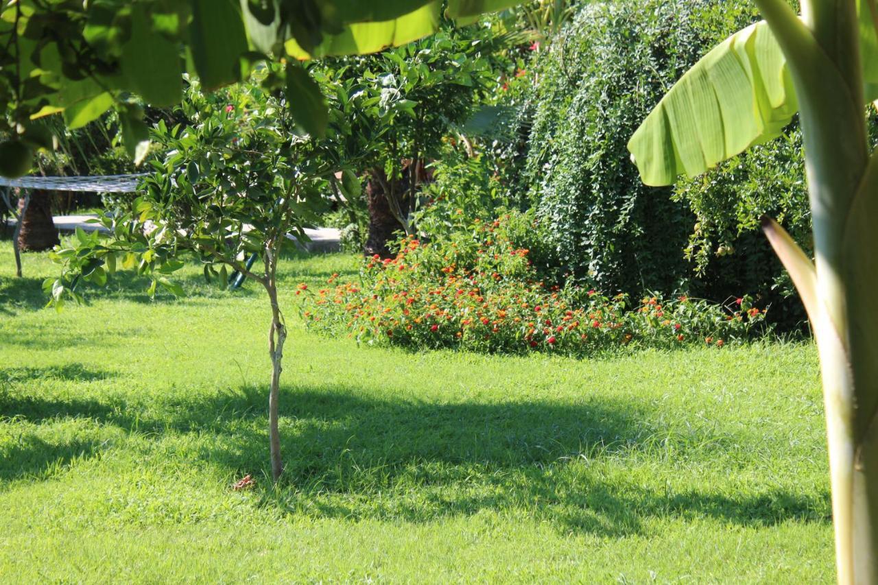 Cirali Armira Bungalow Εξωτερικό φωτογραφία