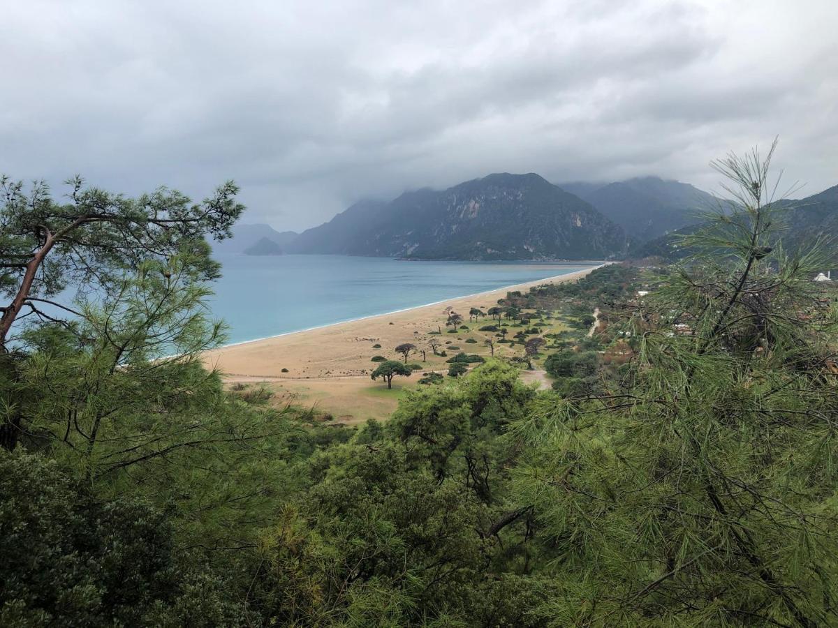 Cirali Armira Bungalow Εξωτερικό φωτογραφία